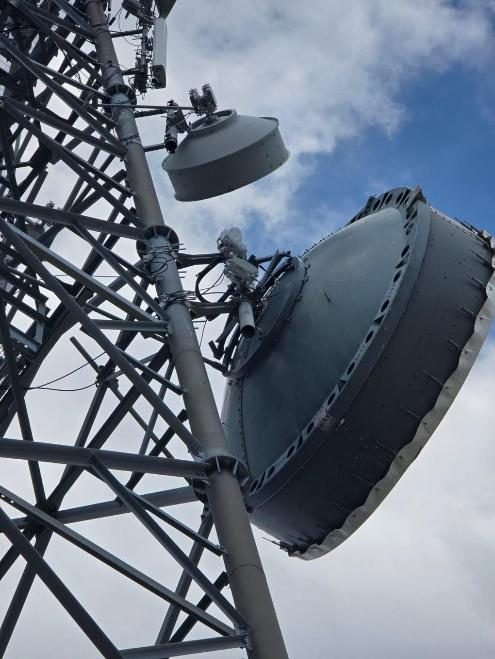Antennas installed for space diversity